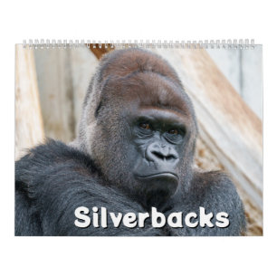 Silverback Calendar