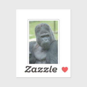 Silverback Dishi