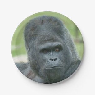 Silverback Dishi Paper Plate