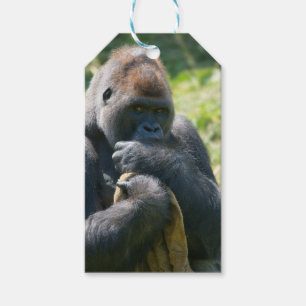 Silverback Gorilla And His Blanket Gift Tags