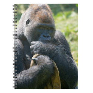 Silverback Gorilla And His Blanket Notebook