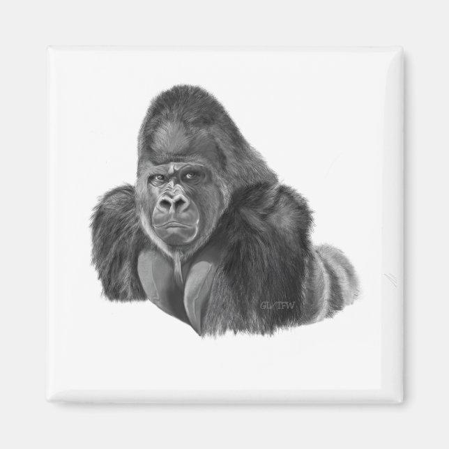 Silverback Gorilla Magnet ゴリラのマグネット (Devant)