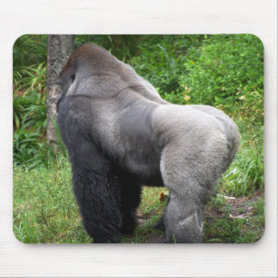 Silverback Gorilla Mouse Pad