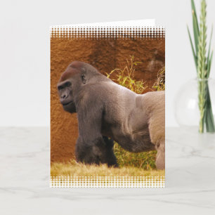 Silverback Gorilla Photo Greeting Card