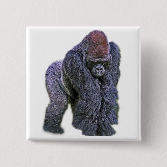 Silverback Gorilla, White Back (g2p2) 2 Inch Square Button (Front)