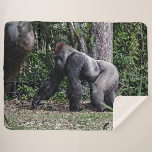 SILVERBACK GORILLOA SHERPA BLANKET