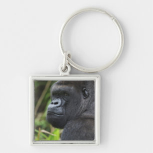 Silverback Lowland Gorilla, Gorilla Captive Keychain