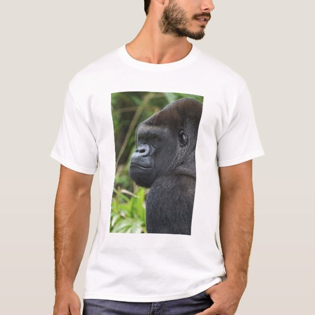 Silverback Lowland Gorilla, Gorilla Captive T-Shirt (Front)