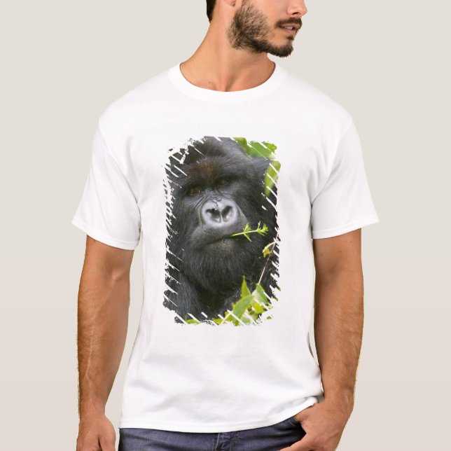 Silverback Mountain Gorilla T-Shirt (Front)