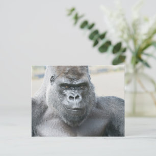 Silverback Unforgettable Presence Postcard