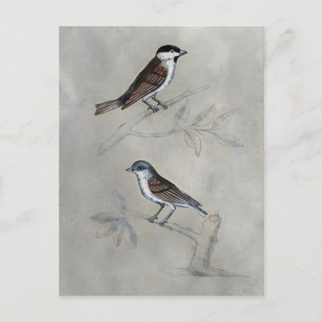 Silvered Aviary | A Pair Of Birds Postcard (Front)