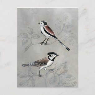 Silvered Aviary   A Pair Postcard