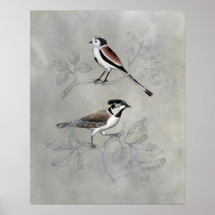 Silvered Aviary   A Pair Poster