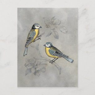 Silvered Aviary   Bird Couple Postcard