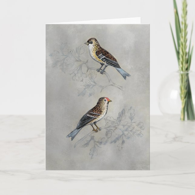 Silvered Aviary | Two Birds Card (Front)