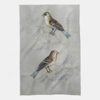 Silvered Aviary | Two Birds