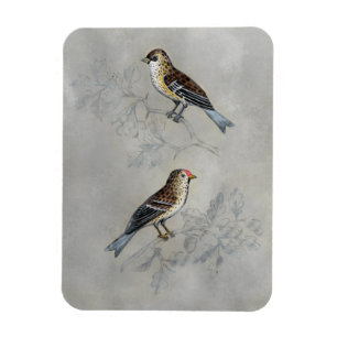 Silvered Aviary Two Birds Magnet