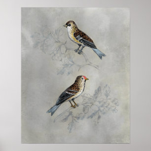 Silvered Aviary   Two Birds Poster
