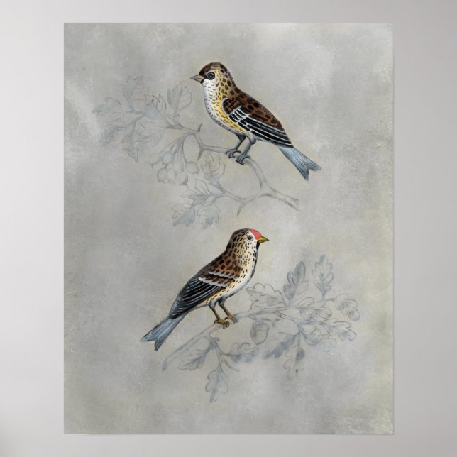 Silvered Aviary | Two Birds Poster (Front)