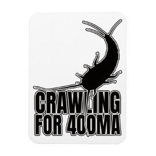 Silverfish Primitive Insect – Entomology Geek Magnet