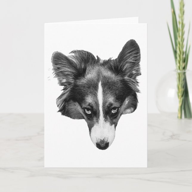 silverlight companion card (Front)