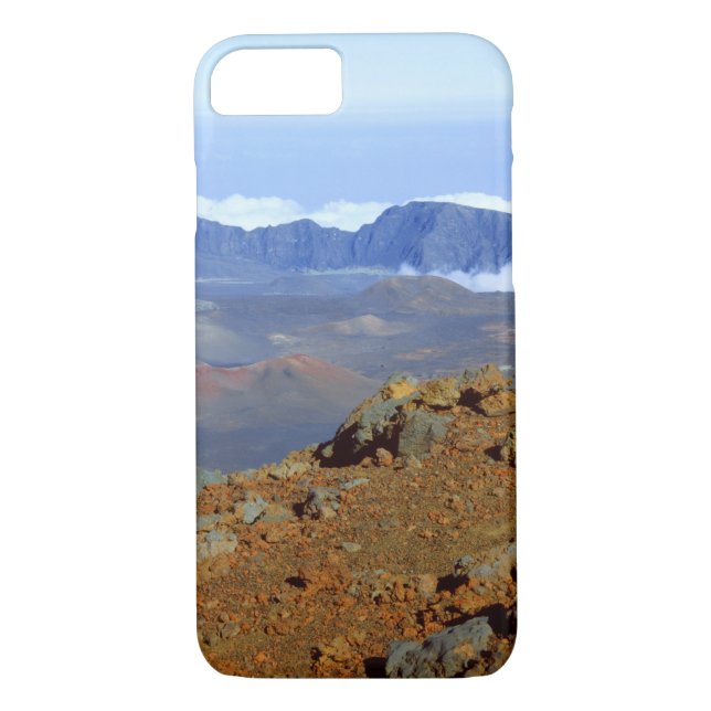Silversword on Haleakala Crater  Rim from near 2 Case-Mate iPhone Case (Back)
