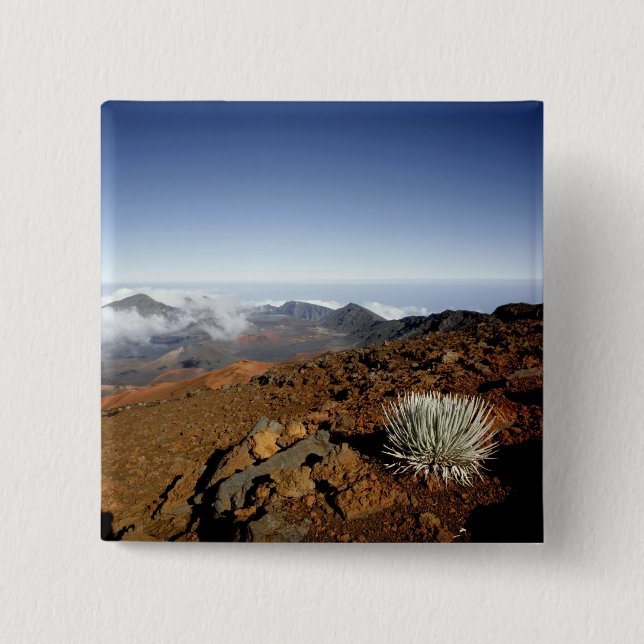 Silversword on Haleakala Crater  Rim from near 2 Inch Square Button (Front)