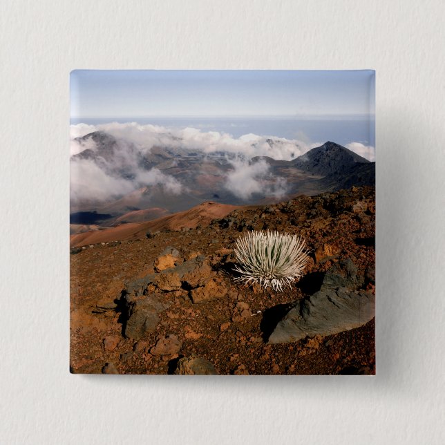 Silversword on Haleakala Crater  Rim from near 3 2 Inch Square Button (Front)