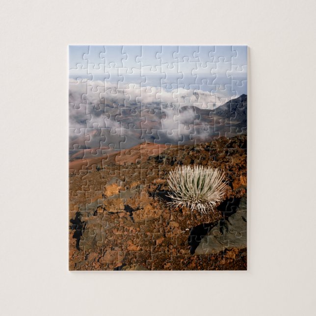 Silversword on Haleakala Crater  Rim from near 3 Jigsaw Puzzle (Vertical)