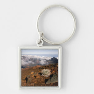 Silversword on Haleakala Crater Rim from near 3 Keychain