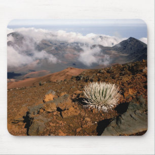 Silversword on Haleakala Crater Rim from near 3 Mouse Pad