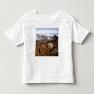 Silversword on Haleakala Crater  Rim from near 3 Toddler T-shirt