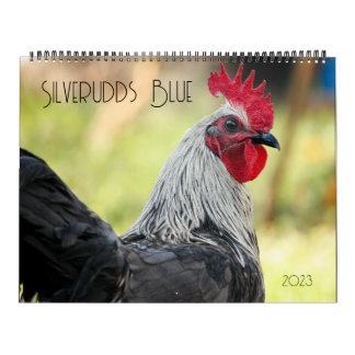 Silverudds Blue Chickens Calendar