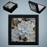 Silvery Blue Succulents Botanical Wooden Keepsake Gift Box<br><div class="desc">Silvery blue and green Echeveria succulents with hints of pink and dark shadows are featured on this beautiful and elegant wood keepsake gift box. It is sophisticated and beautiful and a gift to be treasured with Personalized initials.

This image is original botanical photography by JLW_PHOTOGRAPHY</div>