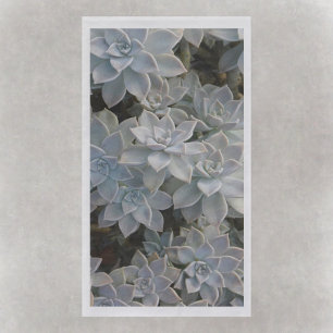 Silvery Blue Succulents Napkin