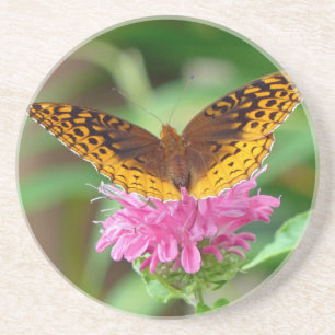 Silvery Checkerspot Butterfly Coaster