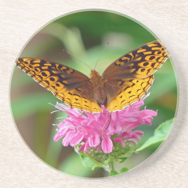 Silvery Checkerspot Butterfly Coaster (Front)