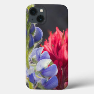 Silvery Lupine, Lavender Paintbrush iPhone 13 Case