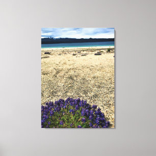 Simax Bay at Crescent Lake, Oregon Canvas Print