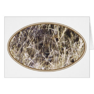 Simba camouflé (lion)