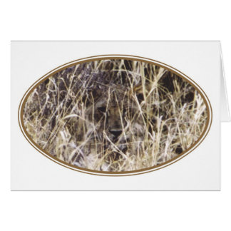 Simba camouflé (lion)