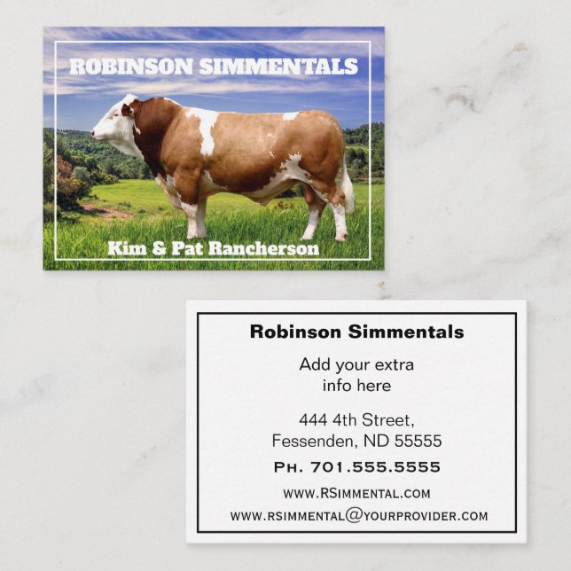 Simmental Bull in Pasture    Business Card (Front/Back)