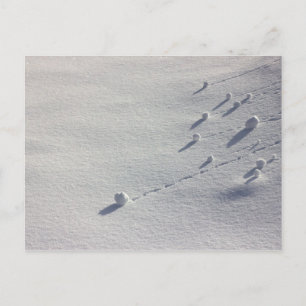 Simon Says CC0077 Postcard