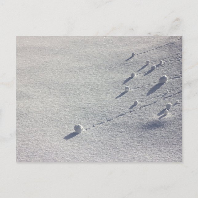 Simon Says CC0077 Postcard (Front)