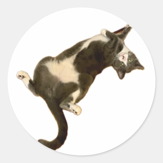 Simon Sticker - Jouer! (Devant)