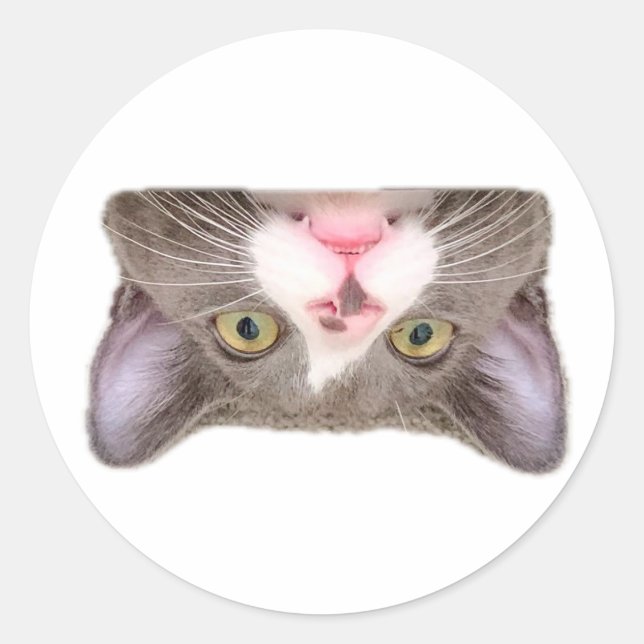Simon Upside Down Face Sticker (Front)