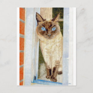 Simone at the Window (Siamese) Postcard