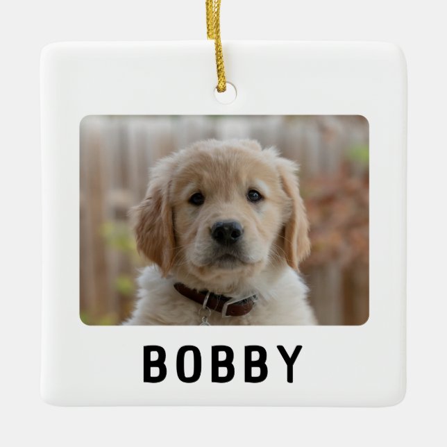 Simple 2 Dog Photos Pet Name Christmas Ceramic Ornament (Front)