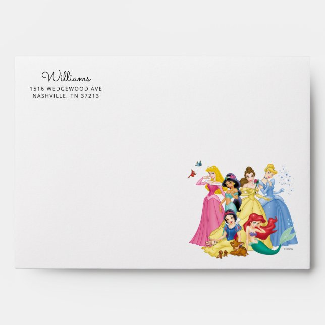 Simple and Modern Disney Princess Birthday  Envelope (Front)