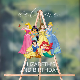 Simple and Modern Disney Princess Birthday Welcome Acrylic Sign
